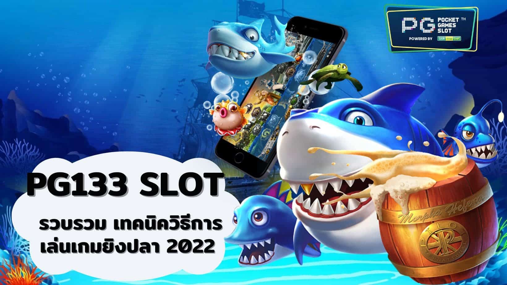 PG133 SLOT